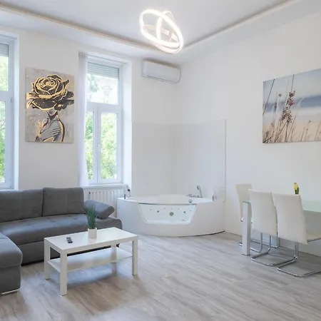 Luxury In The 公寓 *